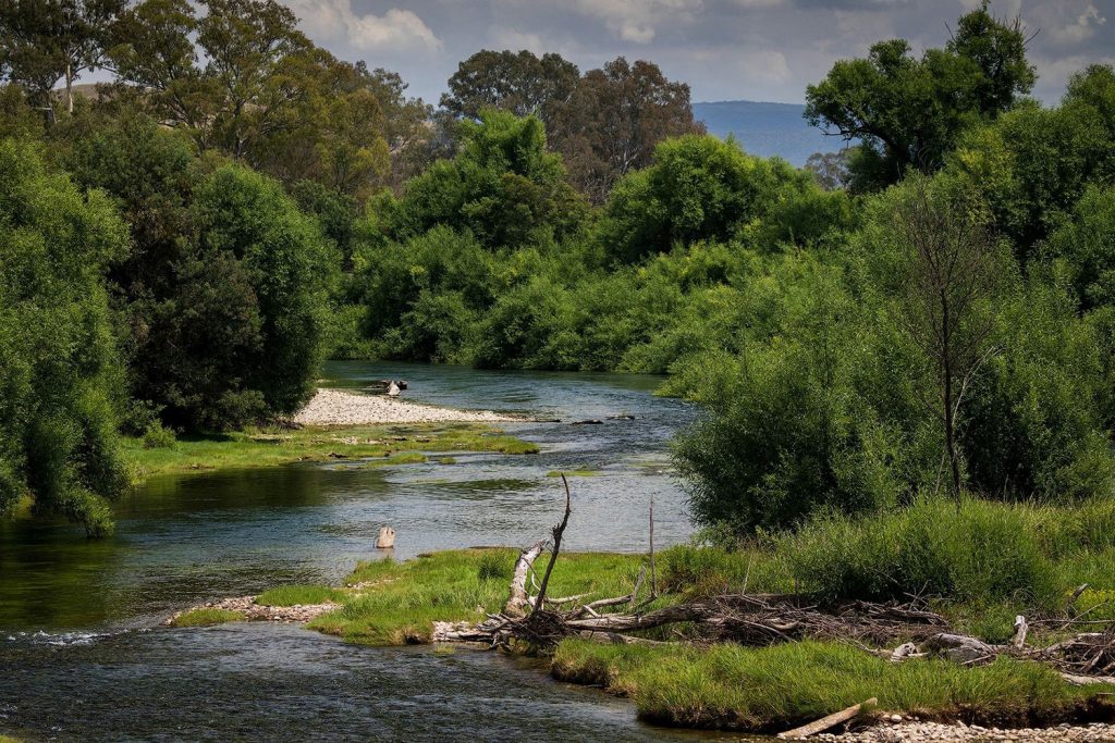 Prepare for an adventure set in a beautiful river setting on our Platypus Watching Trips