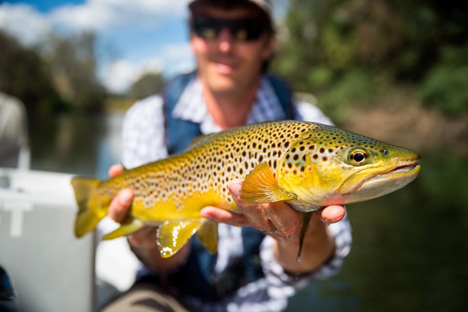 The Goulburn River Adventure trip opens the doors to chase the better browns of the region - with four days to really get your drift boat fishing going