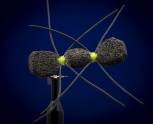 The Chernobyl Ant - makes our list of top 50 trout flies.