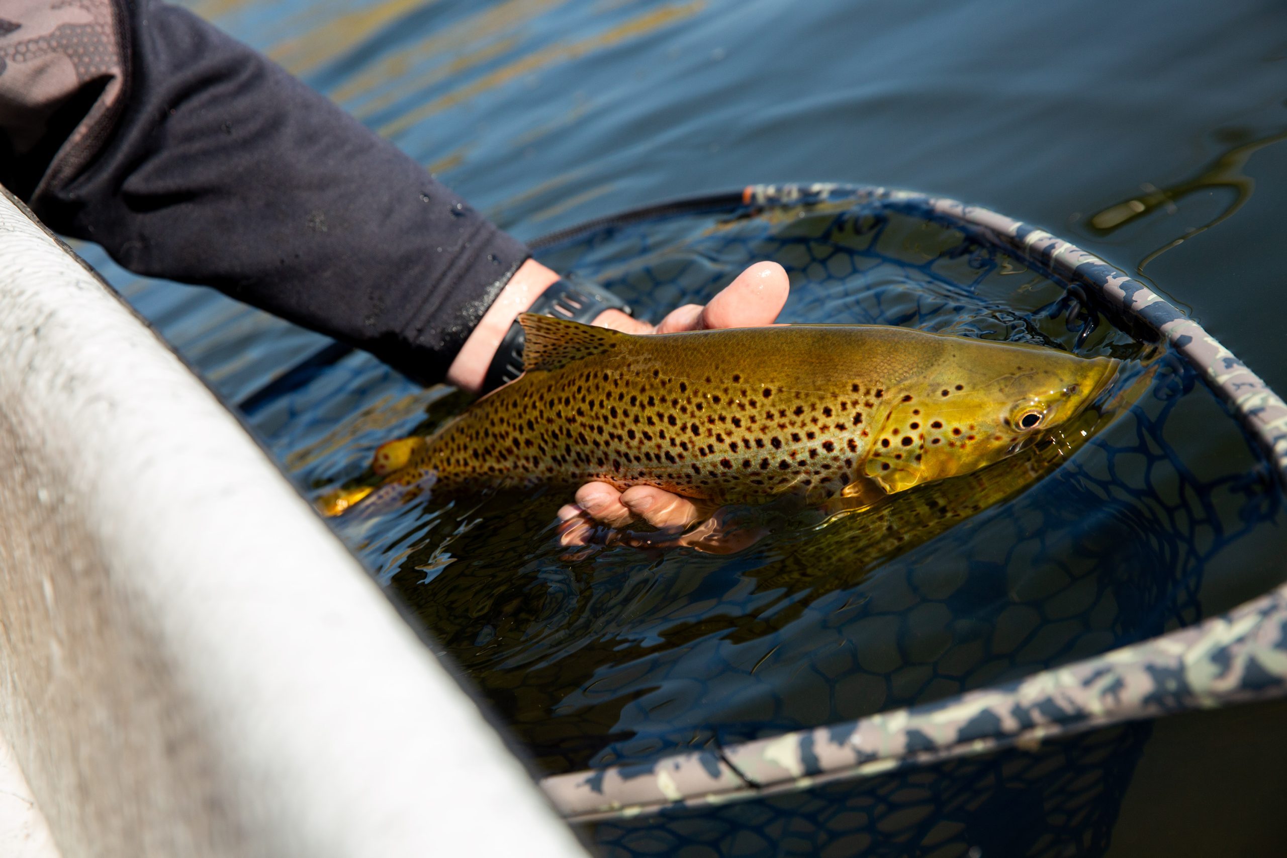Guided Trout Fishing Day Trips in Maupin — Outfishing Adventures